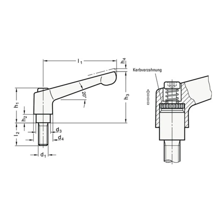 GANTER Regulowana dźwignia zaciskowa GN 300 d1 M 12 mm ( 4601000488 )