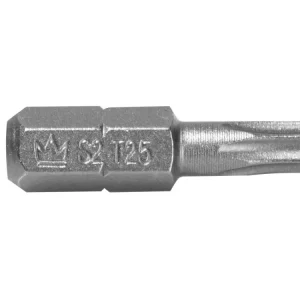 Grot bit torx TX 25x25 | C6573