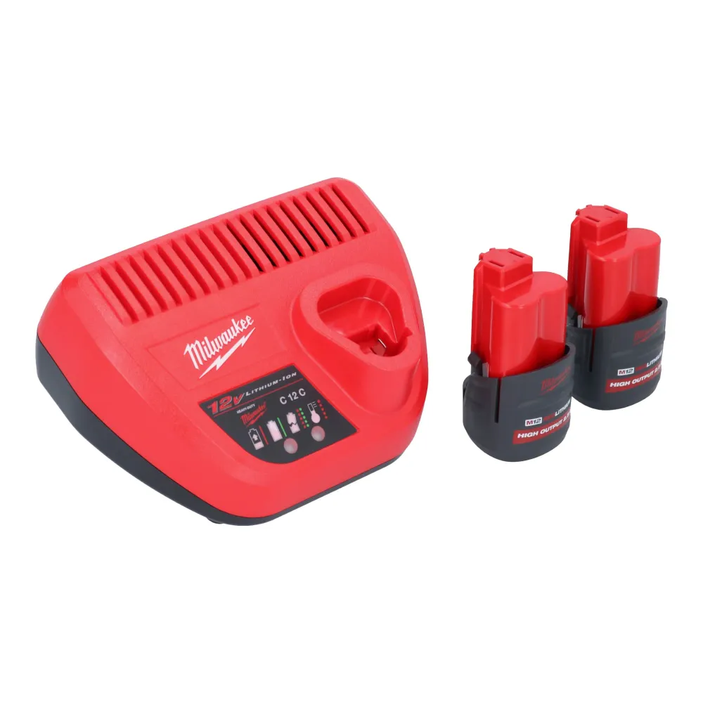Milwaukee M12 FBFL10-252 Akumulatorowy pilnik taśmowy 12 V 10 x 330 mm + 2x akumulator 2,5 Ah + ładowarka