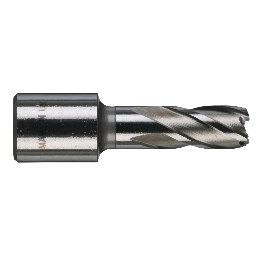 Frez obwodowy trepanacyjny HSS 12 mm / 30 mm | 4932371740