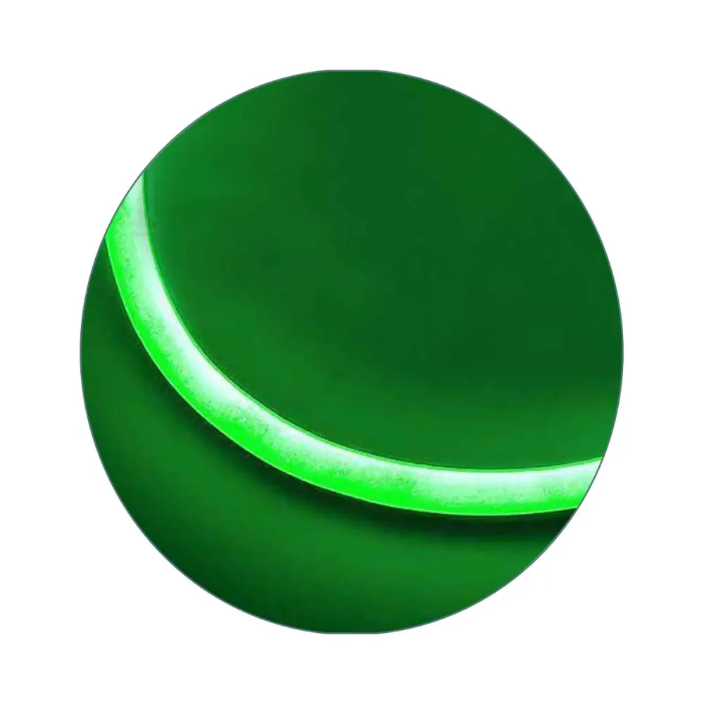 Energy Saving Green 8m LED Neon Strip Light~2873