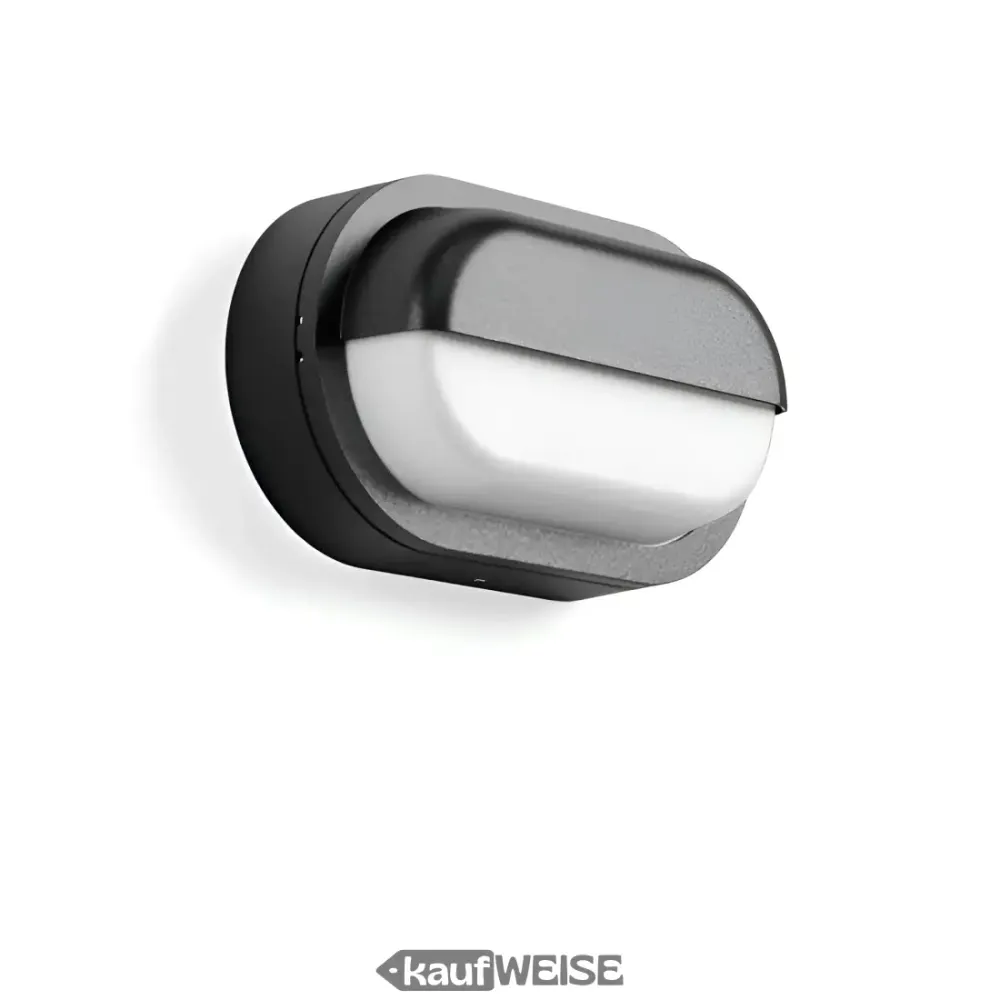 RZB Alu-Lux Owalna lampa ścienna i sufitowa LED | 582065.0031.1