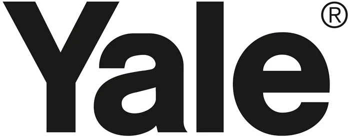 Podnośnik dźwigniowy YALE udźwig 250 kg wysokość podnoszenia 3 m ( 9000360052 )