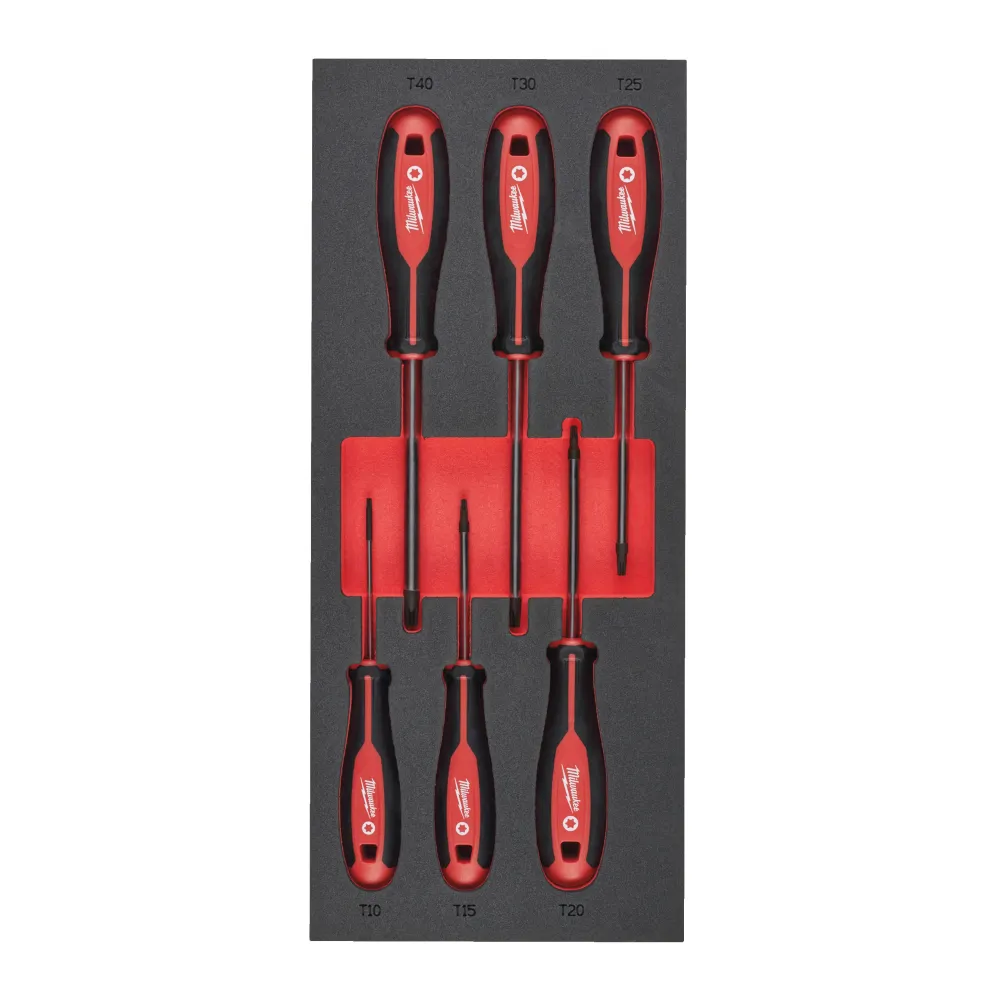 Wkład piankowy z wkrętakami TORX 6szt. | 4932492392