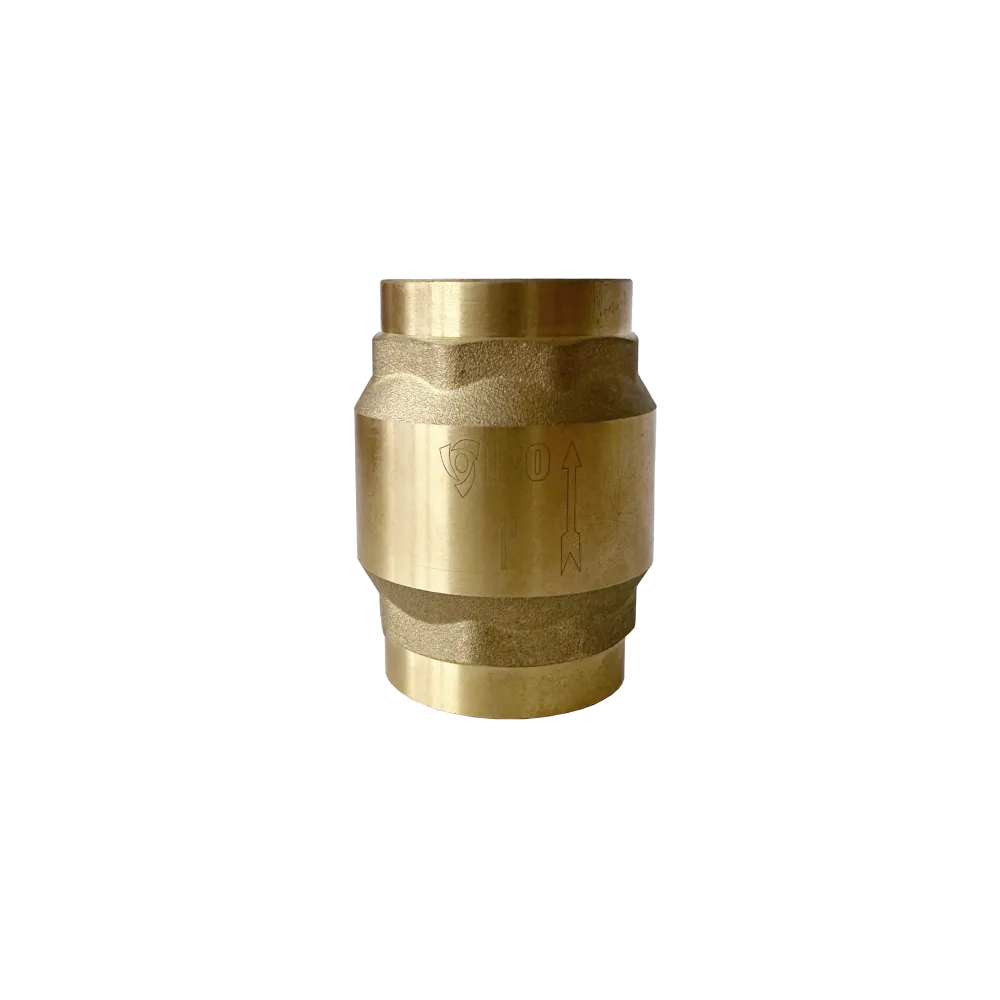 Zawór zwrotny 2-1/2"